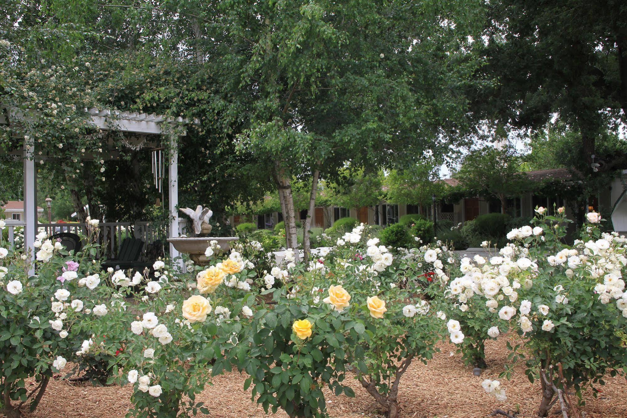Meadowlark Inn Solvang Bagian luar foto